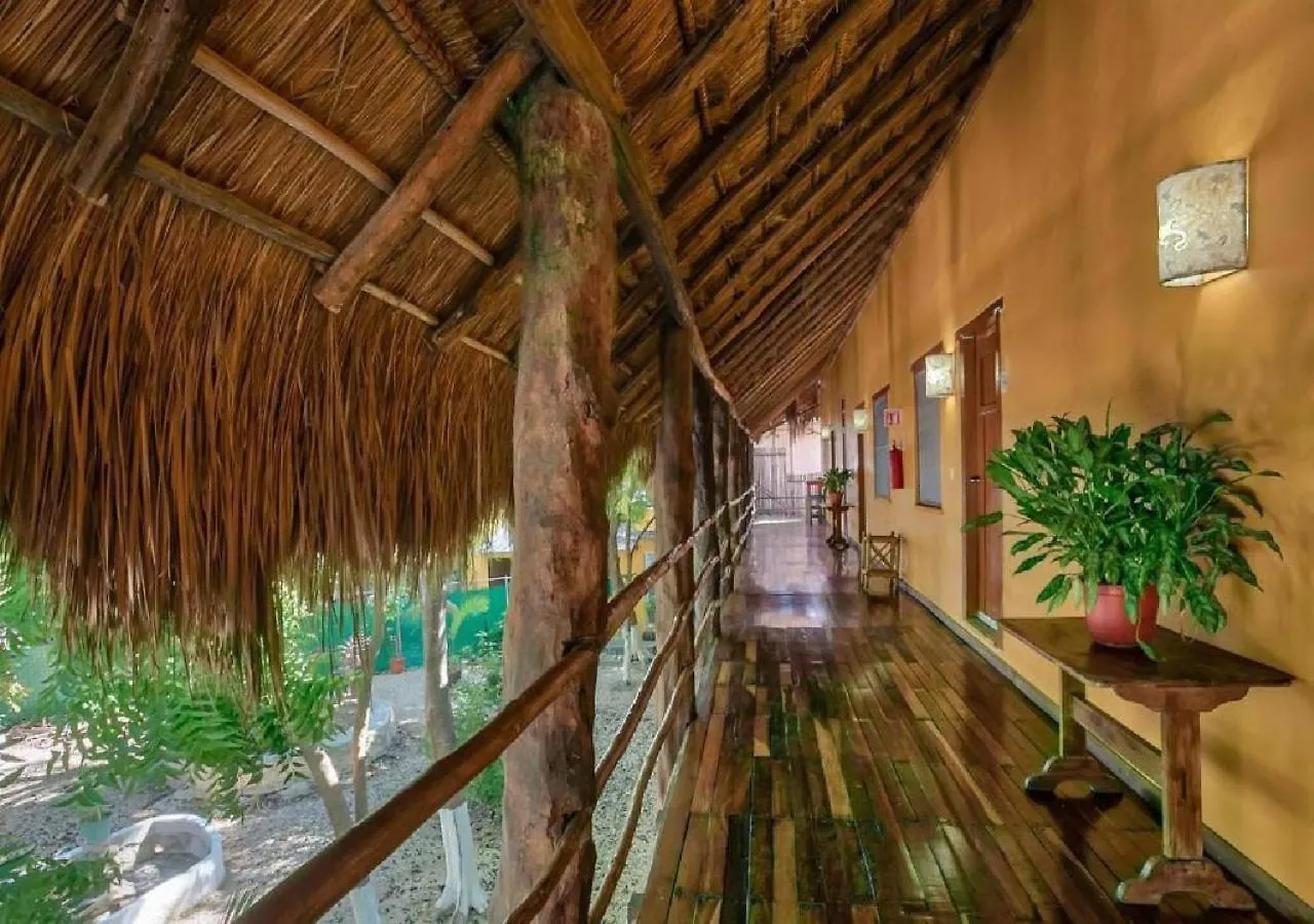 Esduma Iguanas Hotel Playa Del Carmen