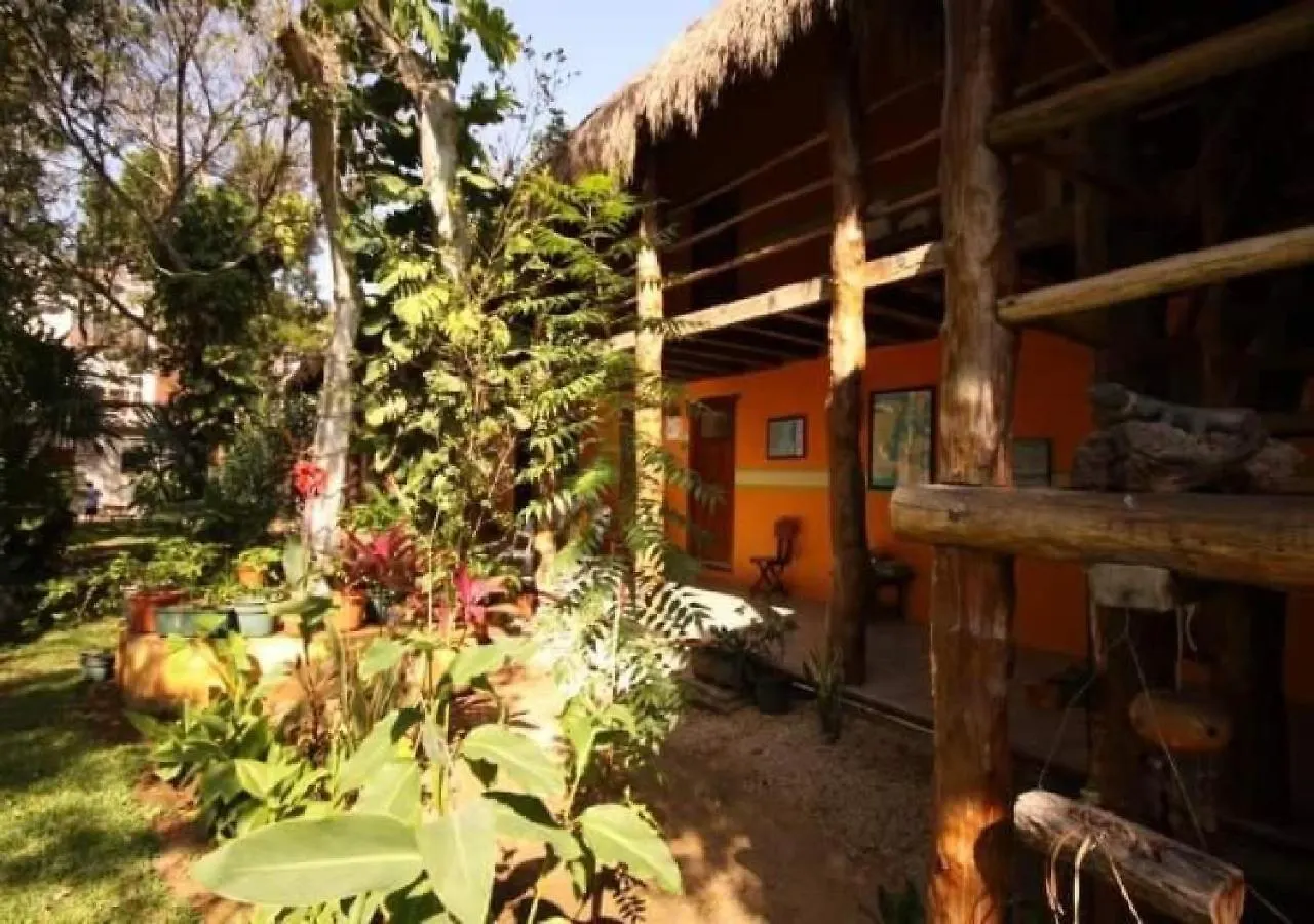 Esduma Iguanas Hotel Playa Del Carmen